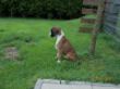 Bubbles-Ebby