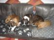 Bubbles,Ophi+Nana