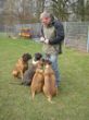 Rocky,Ophi,Nana+Bubbles