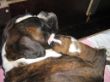 ...Candy in Mama´s Arm...