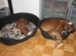Cindy und Candy