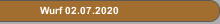 Wurf 02.07.2020